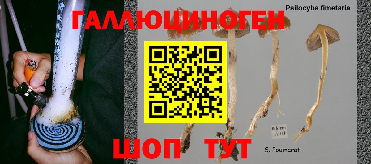 Псилоцибиновые грибы Psilocybe  Галлюциногенные грибы Psilocybe  Вход с VPN  Саров 